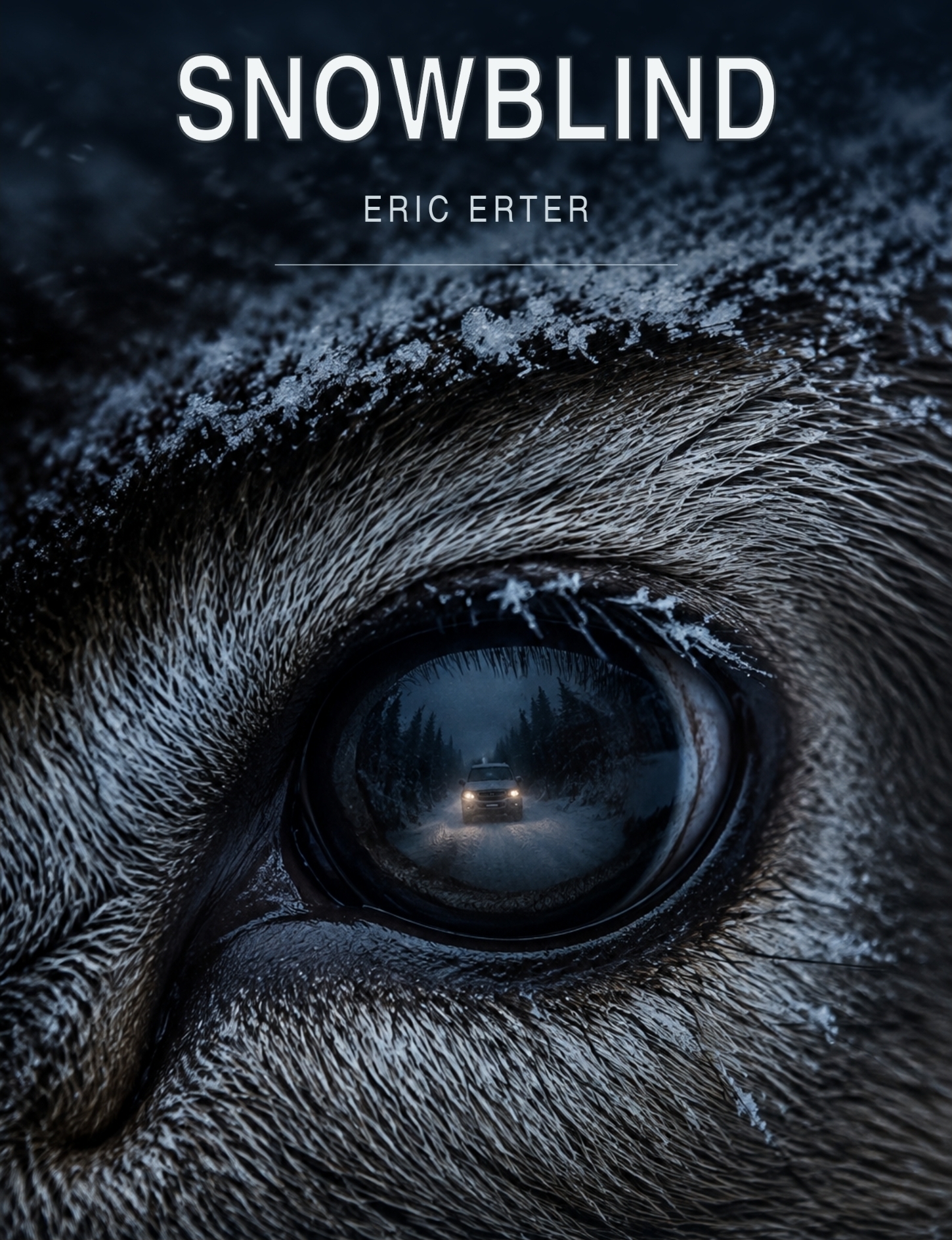 Snowblind book cover